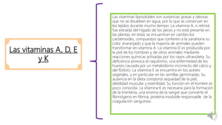 Las vitaminas A, D, E
y K
Las vitaminas liposolubles son sustancias grasas y oleosas
que no se disuelven en agua, por lo que se conservan en
los tejidos durante mucho tiempo. La vitamina A, o retinol,
fue extraída del hígado de los peces y no está presente en
las plantas; en éstas se encuentran en cambio los
carotenoides, compuestos que confieren a la zanahoria su
color anaranjado y que la mayoría de animales pueden
transformar en vitamina A. La vitamina D es producida por
la piel de los hombres y de otros animales mediante
reacciones químicas activadas por los rayos ultravioleta. Su
deficiencia provoca el raquitismo, una enfermedad de los
huesos causada por un metabolismo incorrecto del calcio y
del fósforo. La vitamina E se encuentra en los aceites
vegetales, y en particular en las semillas germinadas. Su
ausencia en la dieta comporta sequedad de la piel,
debilidad muscular y esterilidad. Su función en el hombre es
poco conocida. La vitamina K es necesaria para la formación
de la trombina, una enzima de la sangre que convierte el
fibrinógeno en fibrina, proteína insoluble responsable de la
coagulación sanguínea.
 