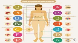 Las vitaminas (y sus caracteristicas).