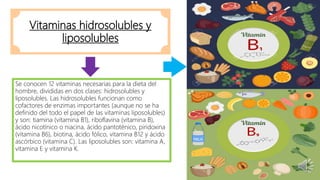 Vitaminas hidrosolubles y
liposolubles
Se conocen 12 vitaminas necesarias para la dieta del
hombre, divididas en dos clases: hidrosolubles y
liposolubles. Las hidrosolubles funcionan como
cofactores de enzimas importantes (aunque no se ha
definido del todo el papel de las vitaminas liposolubles)
y son: tiamina (vitamina B1), riboflavina (vitamina B),
ácido nicotínico o niacina, ácido pantoténico, piridoxina
(vitamina B6), biotina, ácido fólico, vitamina B12 y ácido
ascórbico (vitamina C). Las liposolubles son: vitamina A,
vitamina E y vitamina K.
 