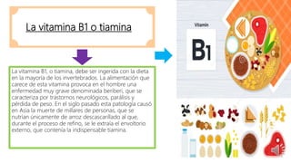 La vitamina B1 o tiamina
La vitamina B1, o tiamina, debe ser ingerida con la dieta
en la mayoría de los invertebrados. La alimentación que
carece de esta vitamina provoca en el hombre una
enfermedad muy grave denominada beriberi, que se
caracteriza por trastornos neurológicos, parálisis y
pérdida de peso. En el siglo pasado esta patología causó
en Asia la muerte de millares de personas, que se
nutrían únicamente de arroz descascarillado al que,
durante el proceso de refino, se le extraía el envoltorio
externo, que contenía la indispensable tiamina.
 