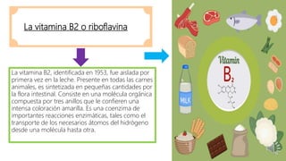 La vitamina B2 o riboflavina
La vitamina B2, identificada en 1953, fue aislada por
primera vez en la leche. Presente en todas las carnes
animales, es sintetizada en pequeñas cantidades por
la flora intestinal. Consiste en una molécula orgánica
compuesta por tres anillos que le confieren una
intensa coloración amarilla. Es una coenzima de
importantes reacciones enzimáticas, tales como el
transporte de los necesarios átomos del hidrógeno
desde una molécula hasta otra.
 