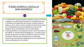 El ácido nicotínico o niacina y el
ácido pantoténico
 La alimentación carente de ácido nicotínico causa en el hombre
la pelagra, una enfermedad frecuente en las poblaciones que
se alimentan principalmente de cereales y donde la dieta es
pobre en carne, leche y huevos. El ácido nicotínico forma parte
de una importante coenzima implicada en la reacción de
oxidación de los carbohidratos y de los ácidos grasos.
 El ácido pantoténico se extrajo por primera vez de la levadura y
del hígado. Su nombre deriva del griego pan, "en todas partes",
porque está presente en todos los tejidos animales y en todas
las plantas. Además, está contenido en una importante
coenzima que participa de la degradación de los carbohidratos
y de los ácidos grasos en las células.
 