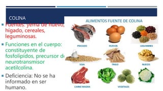 COLINA
 Fuentes: yema de huevo,
hígado, cereales,
leguminosas.
 Funciones en el cuerpo:
constituyente de
fosfolípidos, precursor del
neurotransmisor
acetilcolina.
 Deficiencia: No se ha
informado en ser
humano.
 