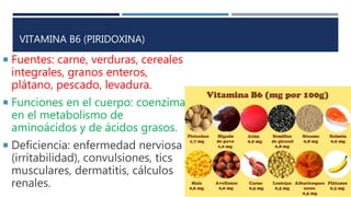 VITAMINA B6 (PIRIDOXINA)
 Fuentes: carne, verduras, cereales
integrales, granos enteros,
plátano, pescado, levadura.
 Funciones en el cuerpo: coenzima
en el metabolismo de
aminoácidos y de ácidos grasos.
 Deficiencia: enfermedad nerviosa
(irritabilidad), convulsiones, tics
musculares, dermatitis, cálculos
renales.
 