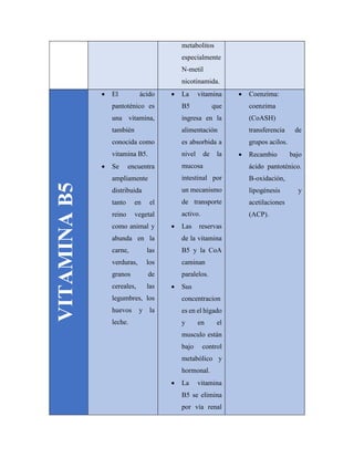 metabolitos
especialmente
N-metil
nicotinamida.
VITAMINAB5
 El ácido
pantoténico es
una vitamina,
también
conocida como
vitamina B5.
 Se encuentra
ampliamente
distribuida
tanto en el
reino vegetal
como animal y
abunda en la
carne, las
verduras, los
granos de
cereales, las
legumbres, los
huevos y la
leche.
 La vitamina
B5 que
ingresa en la
alimentación
es absorbida a
nivel de la
mucosa
intestinal por
un mecanismo
de transporte
activo.
 Las reservas
de la vitamina
B5 y la CoA
caminan
paralelos.
 Sus
concentracion
es en el hígado
y en el
musculo están
bajo control
metabólico y
hormonal.
 La vitamina
B5 se elimina
por vía renal
 Coenzima:
coenzima
(CoASH)
transferencia de
grupos acilos.
 Recambio bajo
ácido pantoténico.
B-oxidación,
lipogénesis y
acetilaciones
(ACP).
 