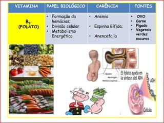 VITAMINA PAPEL BIOLÓGICO CARÊNCIA FONTES
B9
(FOLATO)
• Formação da
hemácias;
• Divisão celular
• Metabolismo
Energético
• Anemia
• Espinha Bífida;
• Anencefalia
• OVO
• Carne
• Fígado
• Vegetais
verdes
escuros
 
