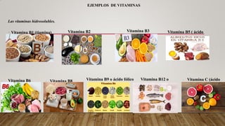 EJEMPLOS DE VITAMINAS
· Vitamina B2
(riboflavina)
· Vitamina B3
(niacina)
Las vitaminas hidrosolubles.
Vitamina B5 ( ácido
pantoténico)
· Vitamina B8
(biotina)
· Vitamina C (ácido
ascórbico)
· Vitamina B1 (tiamina)
· Vitamina B6
(piridoxina)
Vitamina B9 o ácido fólico Vitamina B12 o
cianocobalamina
 