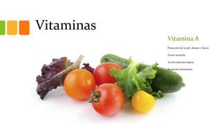 Vitaminas
Vitamina A
Protección de la piel, dientes y hueso.
Visión nocturna.
Acción anticancerígena.
Respuesta inmunitaria.
 