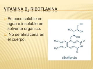 VITAMINA B2 RIBOFLAVINA
 Es poco soluble en
agua e insoluble en
solvente orgánico.
 No se almacena en
el cuerpo.
 