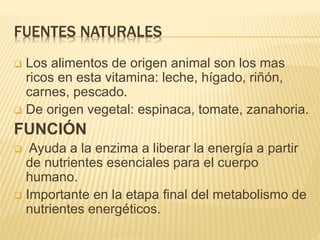 FUENTES NATURALES
 Los alimentos de origen animal son los mas
ricos en esta vitamina: leche, hígado, riñón,
carnes, pescado.
 De origen vegetal: espinaca, tomate, zanahoria.
FUNCIÓN
 Ayuda a la enzima a liberar la energía a partir
de nutrientes esenciales para el cuerpo
humano.
 Importante en la etapa final del metabolismo de
nutrientes energéticos.
 