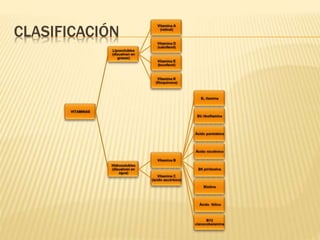 CLASIFICACIÓN
 