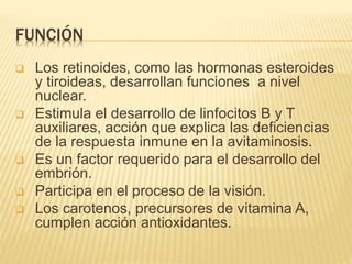 FUNCIÓN
 Los retinoides, como las hormonas esteroides
y tiroideas, desarrollan funciones a nivel
nuclear.
 Estimula el desarrollo de linfocitos B y T
auxiliares, acción que explica las deficiencias
de la respuesta inmune en la avitaminosis.
 Es un factor requerido para el desarrollo del
embrión.
 Participa en el proceso de la visión.
 Los carotenos, precursores de vitamina A,
cumplen acción antioxidantes.
 