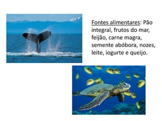 Fontes alimentares: Pão
integral, frutos do mar,
feijão, carne magra,
semente abóbora, nozes,
leite, iogurte e queijo.
 