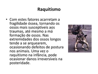 Raquitismo
• Com estes fatores acarretam a
fragilidade óssea, tornando os
ossos mais susceptíveis aos
traumas, até mesmo a má
formação de ossos. Nas
extremidades dos ossos longos
tende a se arquearem,
ocasionando defeitos de postura
nos animais. Uma vez o
raquitismo na infância, pode
ocasionar danos irreversíveis na
posteridade.
 