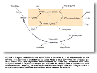 FIGURA - Funções metabólicas de ácido fólico e vitamina B12 no metabolismo de um
carbono. Interconversões metabólicas de ácido fólico e seus derivados são indicadas por
setas pretas. Vias que dependem exclusivamente de folato são mostradas com setas
tracejadas pretas. A importante reação que depende de vitamina B12 e converte N5-metil
tetra-hidrofolato (H4folato) de volta em H4folato é indicada por uma seta tracejada cinza. O
retângulo enquadra o conjunto de derivados de um carbono de H4folato.
 