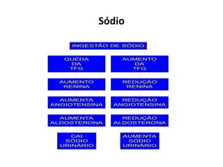 Sódio
CAI
SÓDIO
URINÁRIO
AUMENTA
ALDOSTERONA
AUMENTA
ANGIOTENSINA
AUMENTO
RENINA
QUEDA
DA
TFG
AUMENTA
SÓDIO
URINÁRIO
REDUÇÃO
ALDOSTERONA
REDUÇÃO
ANGIOTENSINA
REDUÇÃO
RENINA
AUMENTO
DA
TFG
INGESTÃO DE SÓDIO
 