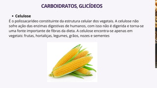 Celulose
É o polissacarídeo constituinte da estrutura celular dos vegetais. A celulose não
sofre ação das enzimas digestivas de humanos, com isso não é digerida e torna-se
uma fonte importante de fibras da dieta. A celulose encontra-se apenas em
vegetais: frutas, hortaliças, legumes, grãos, nozes e sementes
CARBOIDRATOS,GLICÍDEOS
 