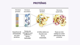 PROTEÍNAS
 