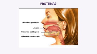 PROTEÍNAS
 