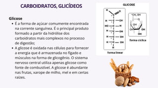 Glicose
É a forma de açúcar comumente encontrada
na corrente sanguínea. É o principal produto
formado a partir da hidrólise dos
carboidratos mais complexos no processo
de digestão;
A glicose é oxidada nas células para fornecer
a energia que é armazenada no fígado e
músculos na forma de glicogênio. O sistema
nervoso central utiliza apenas glicose como
fonte de combustível. A glicose é abundante
nas frutas, xarope de milho, mel e em certas
raízes.
CARBOIDRATOS,GLICÍDEOS
 