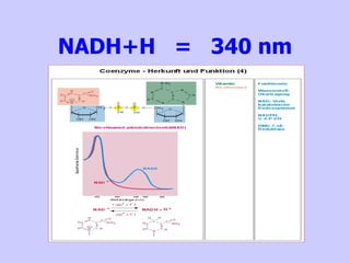 NADH+H  =  340 nm 