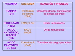 VITAMINA COENZIMA REACCIÓN o PROCESO TIAMINA (B1) Pirofosfato de tiamina (TPP) Descarboxilación, transferencia de grupos aldehido RIBOFLAVINA (B2) FMN y FAD Oxido- reducciones ACIDO NICOTÍNICO, NIACINA (B3) NAD y NADP Oxido-reducciones ACIDO PANTOTÉNICO (B5) Coenzima A (CoA) Transferencia de grupos acilos 