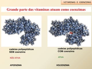 Grande parte das vitaminas atuam como coenzimas
cadeias polipeptídicas
SEM coenzima
cadeias polipeptídicas
COM coenzima
NÃO ATIVA ATIVA
APOENZIMA HOLOENZIMA
VITAMINAS E COENZIMAS
 