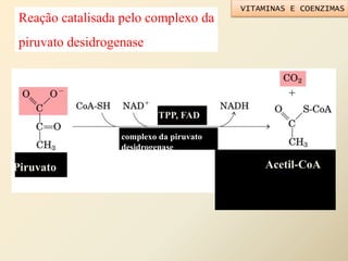 Reação catalisada pelo complexo da
piruvato desidrogenase
Piruvato
TPP, FAD
Acetil-CoA
complexo da piruvato
desidrogenase
VITAMINAS E COENZIMAS
 