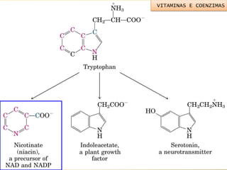VITAMINAS E COENZIMAS
 