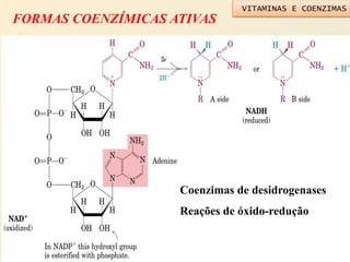 FORMAS COENZÍMICAS ATIVAS
Coenzimas de desidrogenases
Reações de óxido-redução
VITAMINAS E COENZIMAS
 