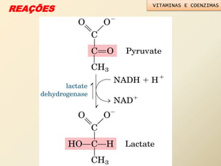 REAÇÕES
VITAMINAS E COENZIMAS
 