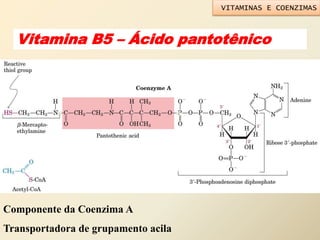 Vitamina B5 – Ácido pantotênico
HH
Componente da Coenzima A
Transportadora de grupamento acila
VITAMINAS E COENZIMAS
 
