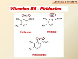 Vitamina B6 - Piridoxina
VITAMINAS E COENZIMAS
 