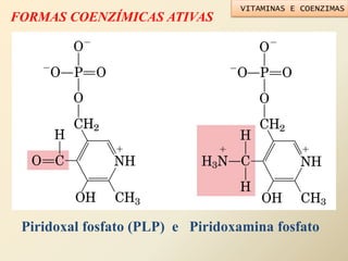 FORMAS COENZÍMICAS ATIVAS
Piridoxal fosfato (PLP) e Piridoxamina fosfato
VITAMINAS E COENZIMAS
 