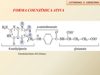 FORMA COENZÍMICA ATIVA
Tetrahidrofolato H4 (folato)
VITAMINAS E COENZIMAS
 