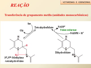 REAÇÃO
Transferência de grupamento metila (unidades monocarbônicas)
VITAMINAS E COENZIMAS
 