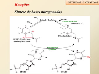 Reações
Síntese de bases nitrogenadas
VITAMINAS E COENZIMAS
 