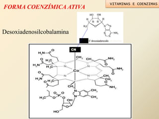FORMA COENZÍMICA ATIVA
cobalamina
CN
Desoxiadenosilcobalamina
VITAMINAS E COENZIMAS
 