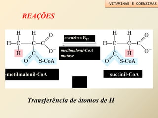 L-metilmalonil-CoA succinil-CoA
metilmalonil-CoA
mutase
coenzima B12
REAÇÕES
Transferência de átomos de H
VITAMINAS E COENZIMAS
 