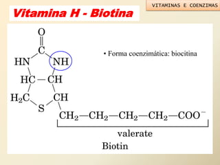 Vitamina H - Biotina
• Forma coenzimática: biocitina
VITAMINAS E COENZIMAS
 