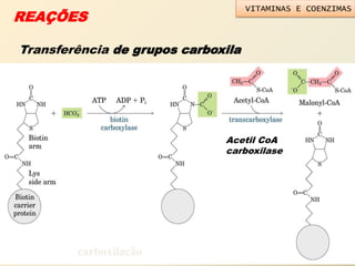 REAÇÕES
Transferência de grupos carboxila
carboxilação
Acetil CoA
carboxilase
VITAMINAS E COENZIMAS
 