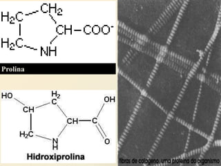 Prolina
 