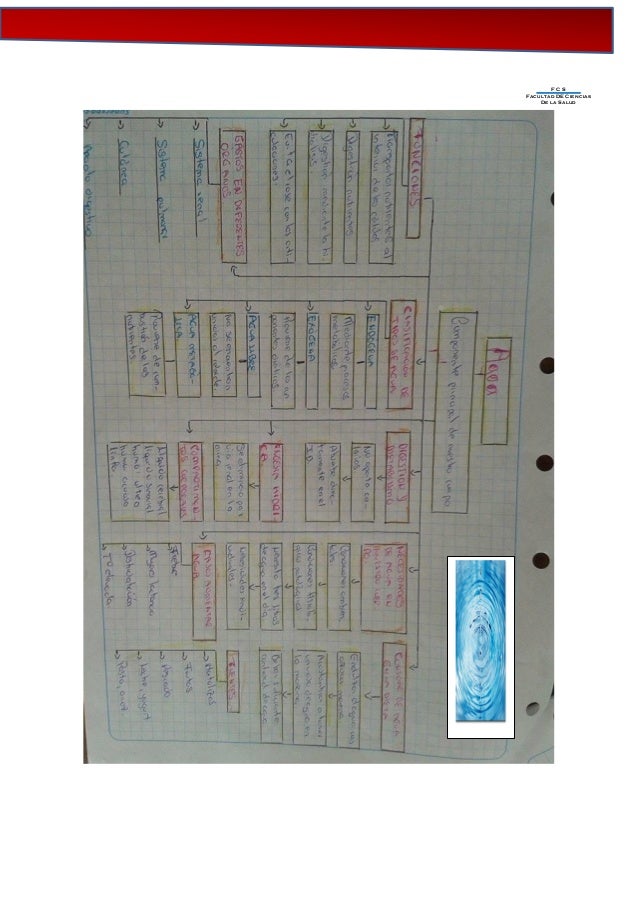 Enviar correo electr nico