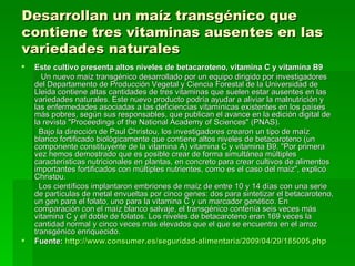 Desarrollan un maíz transgénico que contiene tres vitaminas ausentes en las variedades naturales  Este cultivo presenta altos niveles de betacaroteno, vitamina C y vitamina B9 Un nuevo maíz transgénico desarrollado por un equipo dirigido por investigadores del Departamento de Producción Vegetal y Ciencia Forestal de la Universidad de Lleida contiene altas cantidades de tres vitaminas que suelen estar ausentes en las variedades naturales. Este nuevo producto podría ayudar a aliviar la malnutrición y las enfermedades asociadas a las deficiencias vitamínicas existentes en los países más pobres, según sus responsables, que publican el avance en la edición digital de la revista "Proceedings of the National Academy of Sciences" (PNAS). Bajo la dirección de Paul Christou, los investigadores crearon un tipo de maíz blanco fortificado biológicamente que contiene altos niveles de betacaroteno (un componente constituyente de la vitamina A) vitamina C y vitamina B9. "Por primera vez hemos demostrado que es posible crear de forma simultánea múltiples características nutricionales en plantas, en concreto para crear cultivos de alimentos importantes fortificados con múltiples nutrientes, como es el caso del maíz", explicó Christou. Los científicos implantaron embriones de maíz de entre 10 y 14 días con una serie de partículas de metal envueltas por cinco genes: dos para sintetizar el betacaroteno, un gen para el folato, uno para la vitamina C y un marcador genético. En comparación con el maíz blanco salvaje, el transgénico contenía seis veces más vitamina C y el doble de folatos. Los niveles de betacaroteno eran 169 veces la cantidad normal y cinco veces más elevados que el que se encuentra en el arroz transgénico enriquecido. Fuente:  http :// www.consumer.es /seguridad- alimentaria /2009/04/29/185005. php 