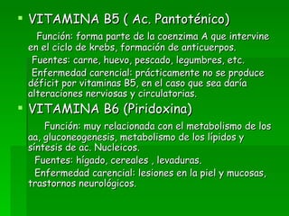 VITAMINA B5 ( Ac. Pantoténico) Función: forma parte de la coenzima A que intervine en el ciclo de krebs, formación de anticuerpos. Fuentes: carne, huevo, pescado, legumbres, etc. Enfermedad carencial: prácticamente no se produce déficit por vitaminas B5, en el caso que sea daría alteraciones nerviosas y circulatorias. VITAMINA B6 (Piridoxina) Función: muy relacionada con el metabolismo de los aa, gluconeogenesis, metabolismo de los lípidos y síntesis de ac. Nucleicos. Fuentes: hígado, cereales , levaduras. Enfermedad carencial: lesiones en la piel y mucosas, trastornos neurológicos. 