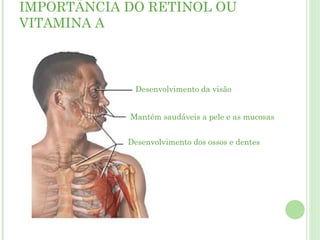 IMPORTÂNCIA DO RETINOL OU
VITAMINA A
Desenvolvimento da visão
Mantém saudáveis a pele e as mucosas
Desenvolvimento dos ossos e dentes
 