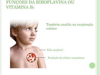 FUNÇÕES DA RIBOFLAVINA OU
VITAMINA B2
Pele saudável
Produção de células sanguíneas
Também auxilia na respiração
celular
 