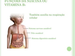 FUNÇÕES DA NIACINA OU
VITAMINA B3
Pele saudável
Sistema digestório saudável
Sistema nervoso saudável
Também auxilia na respiração
celular
 