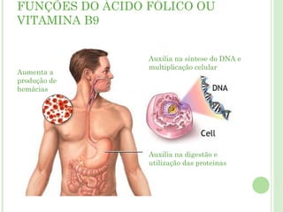 FUNÇÕES DO ÁCIDO FÓLICO OU
VITAMINA B9
Aumenta a
produção de
hemácias
Auxilia na síntese do DNA e
multiplicação celular
Auxilia na digestão e
utilização das proteínas
 