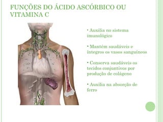 FUNÇÕES DO ÁCIDO ASCÓRBICO OU
VITAMINA C
• Auxilia no sistema
imunológico
• Mantém saudáveis e
íntegros os vasos sanguíneos
• Conserva saudáveis os
tecidos conjuntivos por
produção de colágeno
• Auxilia na absorção de
ferro
 